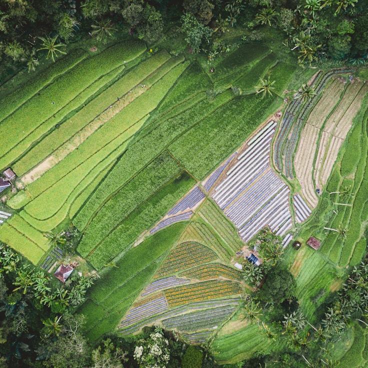 Outdoor terrace seating suitable for families in Ottawa